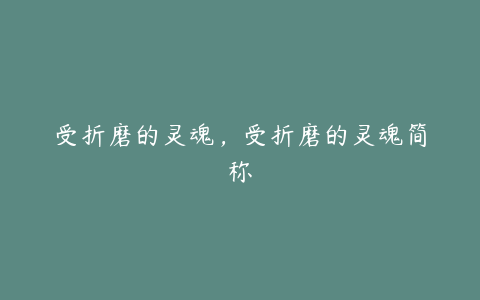 受折磨的灵魂，受折磨的灵魂简称