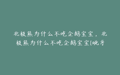 北极熊为什么不吃企鹅宝宝，北极熊为什么不吃企鹅宝宝[呲牙]