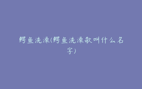 鳄鱼洗澡(鳄鱼洗澡歌叫什么名字)