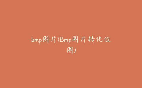 bmp图片(Bmp图片转化位图)