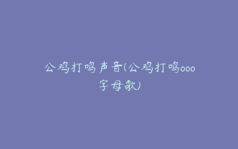 公鸡打鸣声音(公鸡打鸣ooo字母歌)