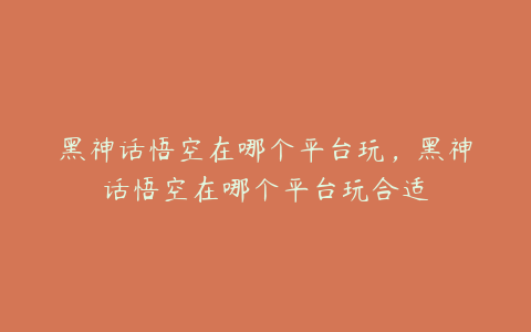 黑神话悟空在哪个平台玩，黑神话悟空在哪个平台玩合适